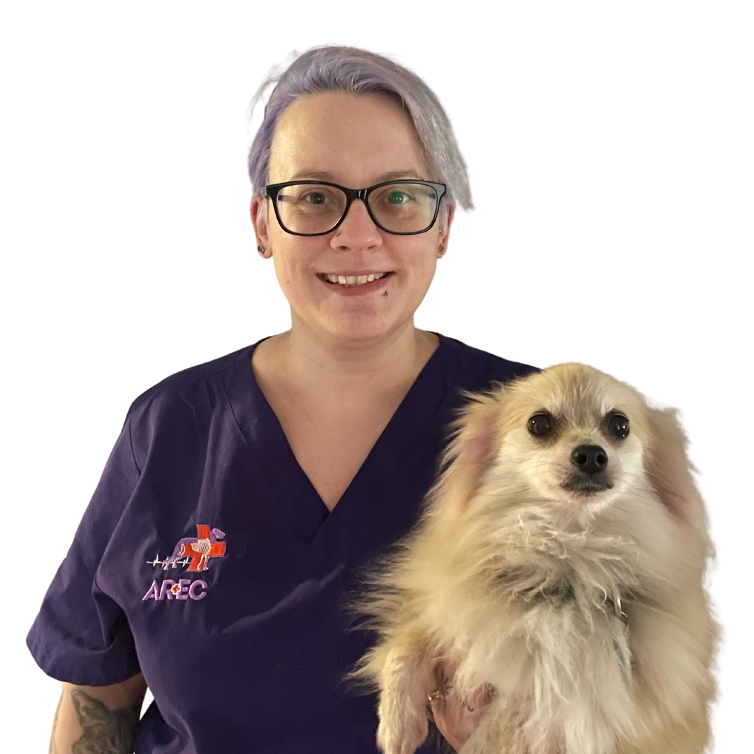 Charlotte Parris AREC Emergency Veterinary Nurse
